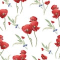 Summer light background with bright red poppies and field grass. Royalty Free Stock Photo